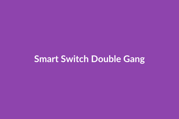 Smart Switch Double Gang